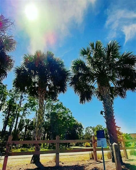 disc golf naples florida|Palm Springs Public Park .